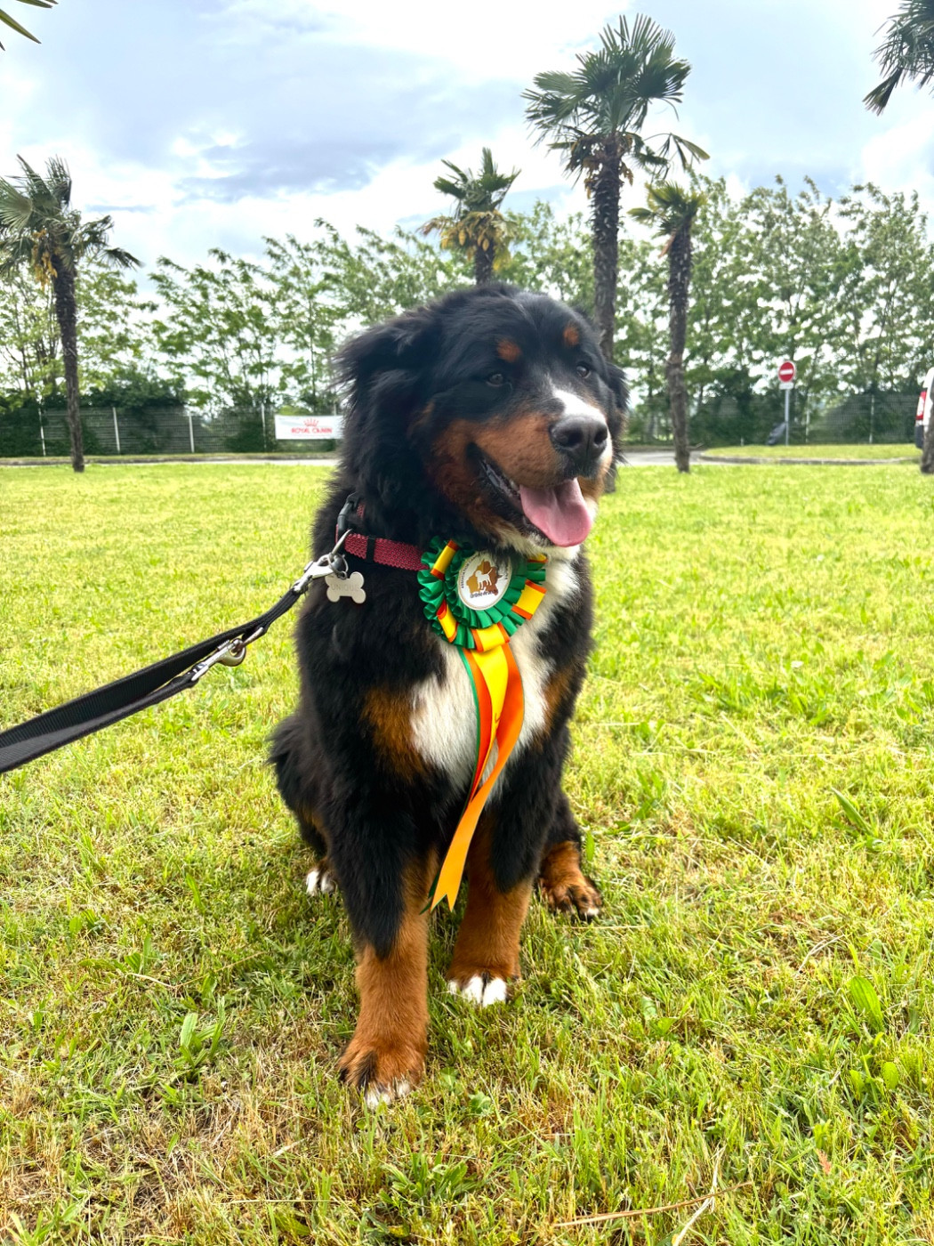 Unique Des Etoiles Du Vercors